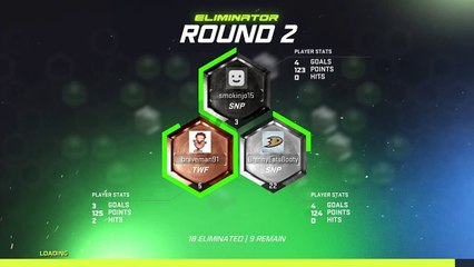 Nhl Referee Ian Walsh Crunched