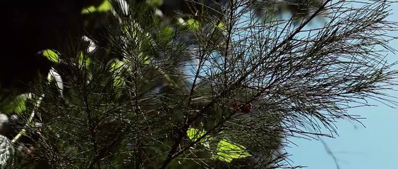 Lydia Natalia - Terlena (Official Lyric Video)