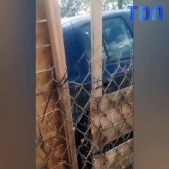 Agression violente et raciste filmée à Dole, dans le Jura