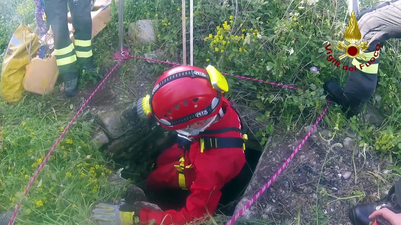 Precipita in un pozzo profondo 26 metri: salvata una capra dai Vigili de fuoco nel Salento - VIDEO