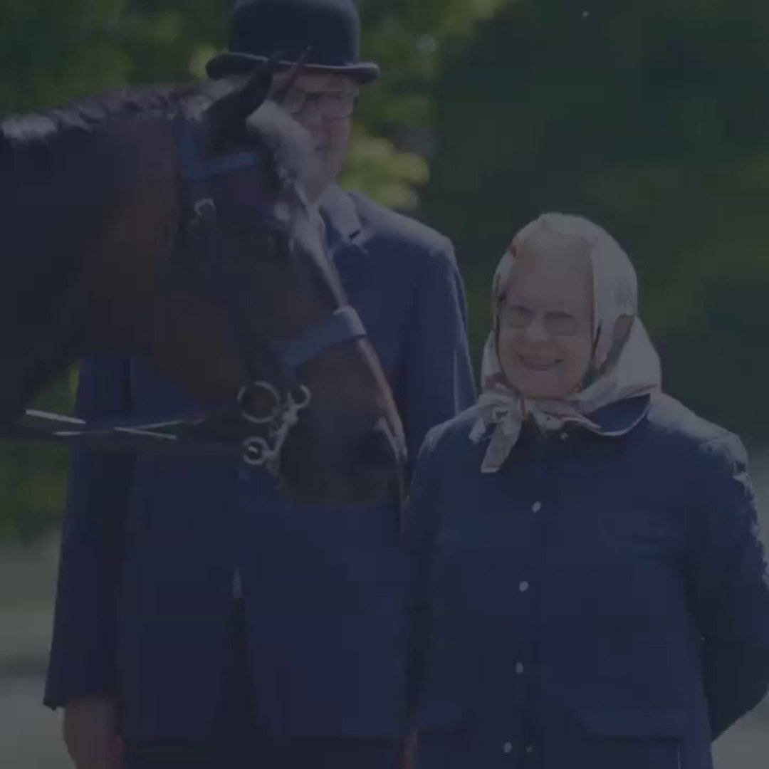 Windsor Race