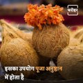 Importance Of Coconut In Sanatan Culture