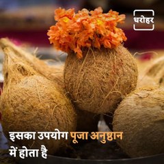Importance Of Coconut In Sanatan Culture