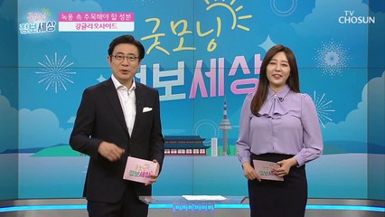 국민 보양식 녹용❤ 우리가 주목해야할 ☞녹용의 주요 성분☜ TV CHOSUN 210430 방송