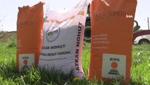 İpekyolu Belediyesi'nden çiftçiye tohum desteği