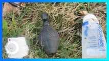 Polisi Jerman Temukan Granat yang Ternyata Mainan Seks - TomoNews