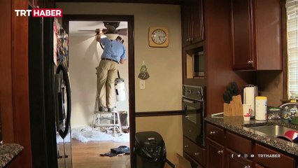 ABD'de bir evden 10 bin arı çıkarıldı