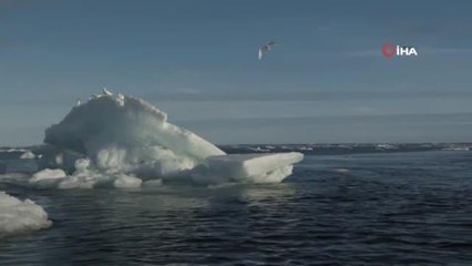 Buzullar her zamankinden hızlı eriyor