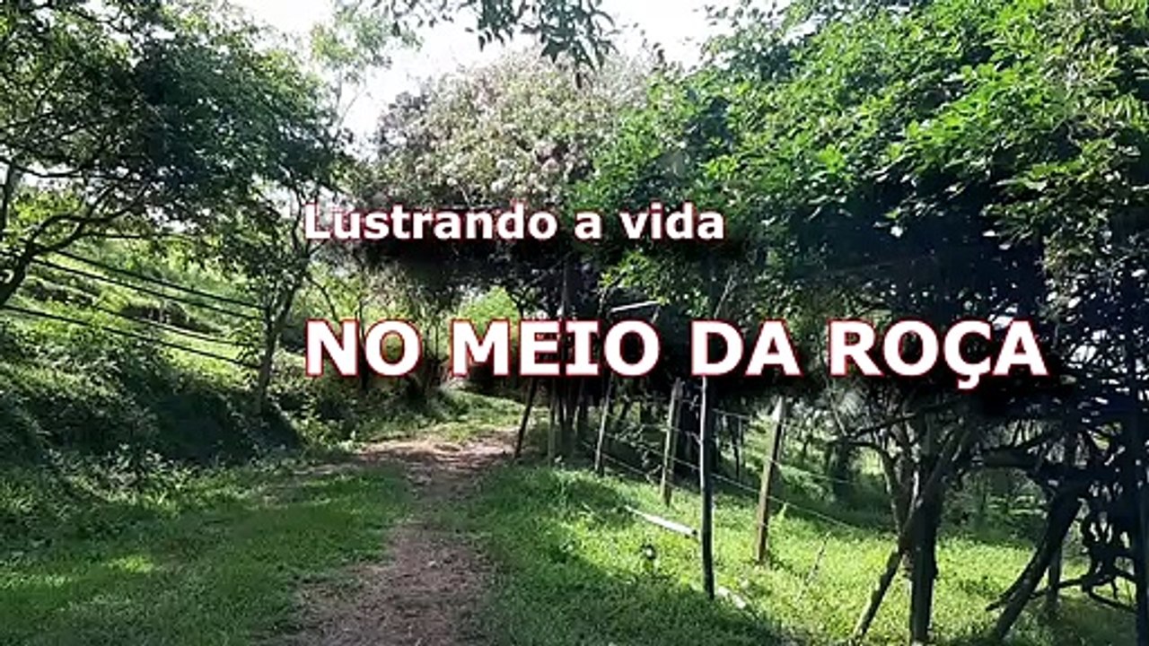 Um estrada da roça inusitada: a região de Igarapé MG é bem cascalhada. Olha que visão