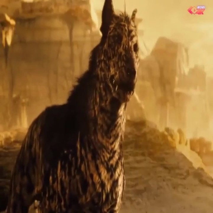 Best Magic Movie