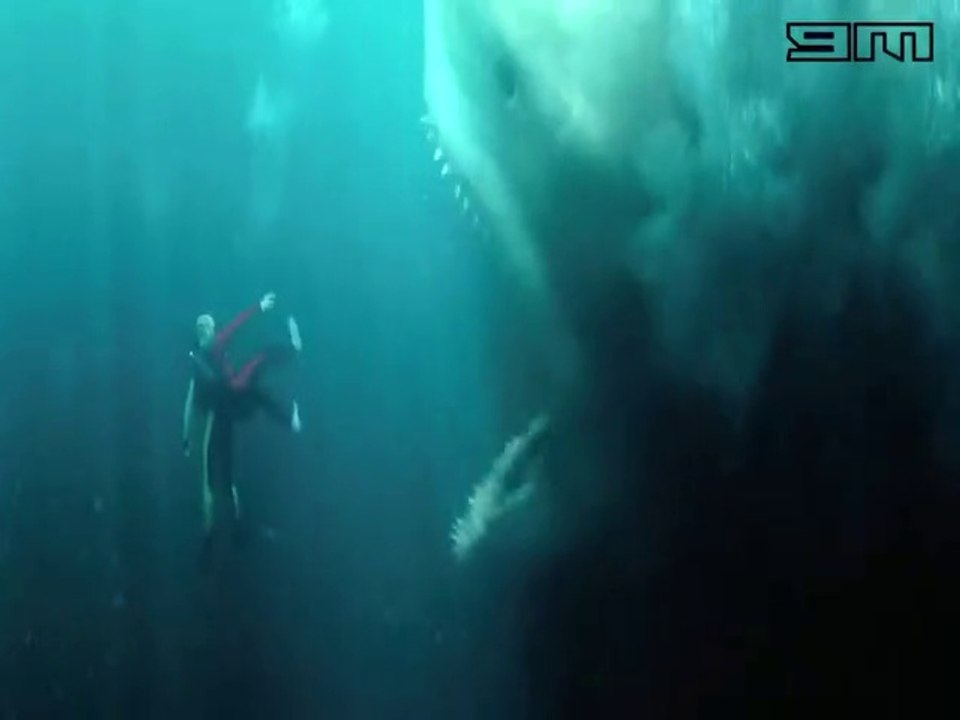 Big Shark Movie - video Dailymotion