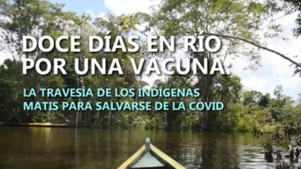 Doce días en río por una vacuna, la travesía de los indígenas matis para salvarse de la covid