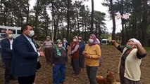 Ege'de doğa nöbet: Muğla'da köylüler ağaç kesimine karşı harekete geçti