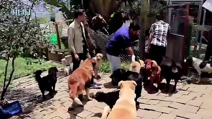 Conoce la historia del veterinario Gio Restrepo Betancur | Desafiantes Tv | Mujer - Nex Panamá