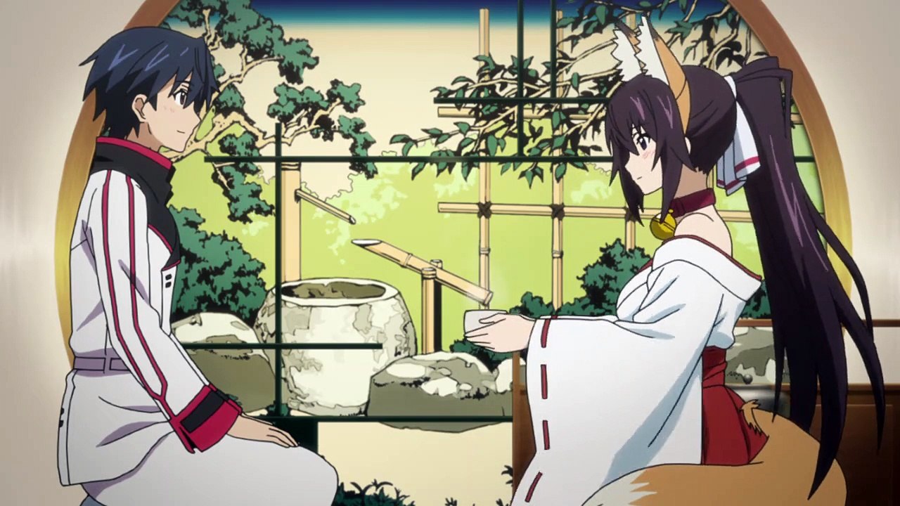 IS ＜インフィニット・ストラトス＞ 2  5話