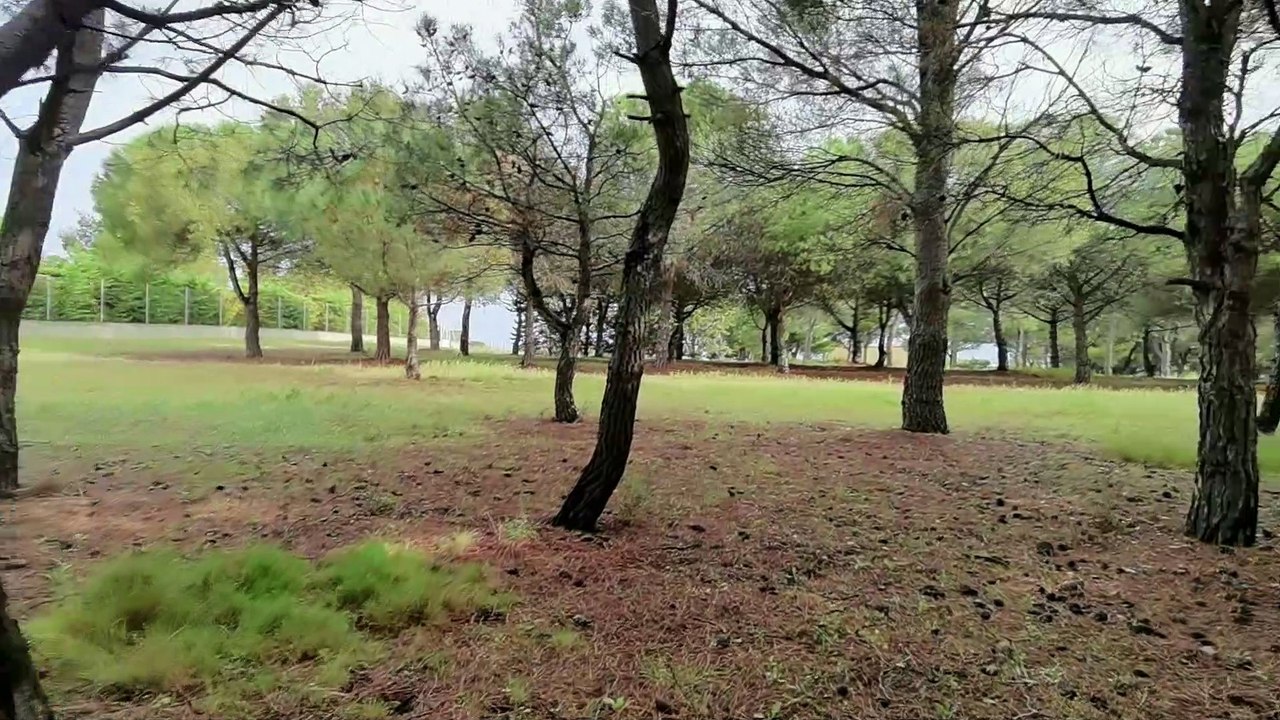 Nicole Bartoli, représentante du GNSA du Biterrois.''Nous occuperons le terrain si nécessaire''