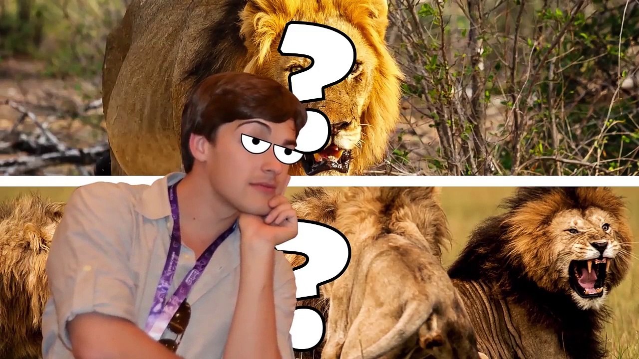 Film Theory: Why Scar Is The Rightful King! (Disney Lion King)