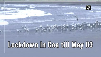 Lockdown in Goa till May 3 as Covid-19 cases surge