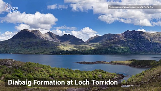 Could This Billion-Year-Old Fossil Be The Oldest Multicellular Animal on Record?