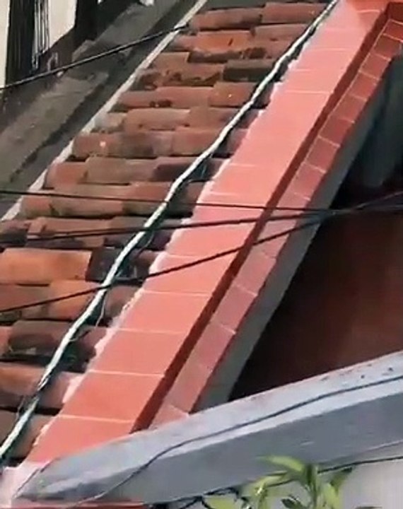 La furia del vandalismo llegó a los barrios y asusta a los vecinos