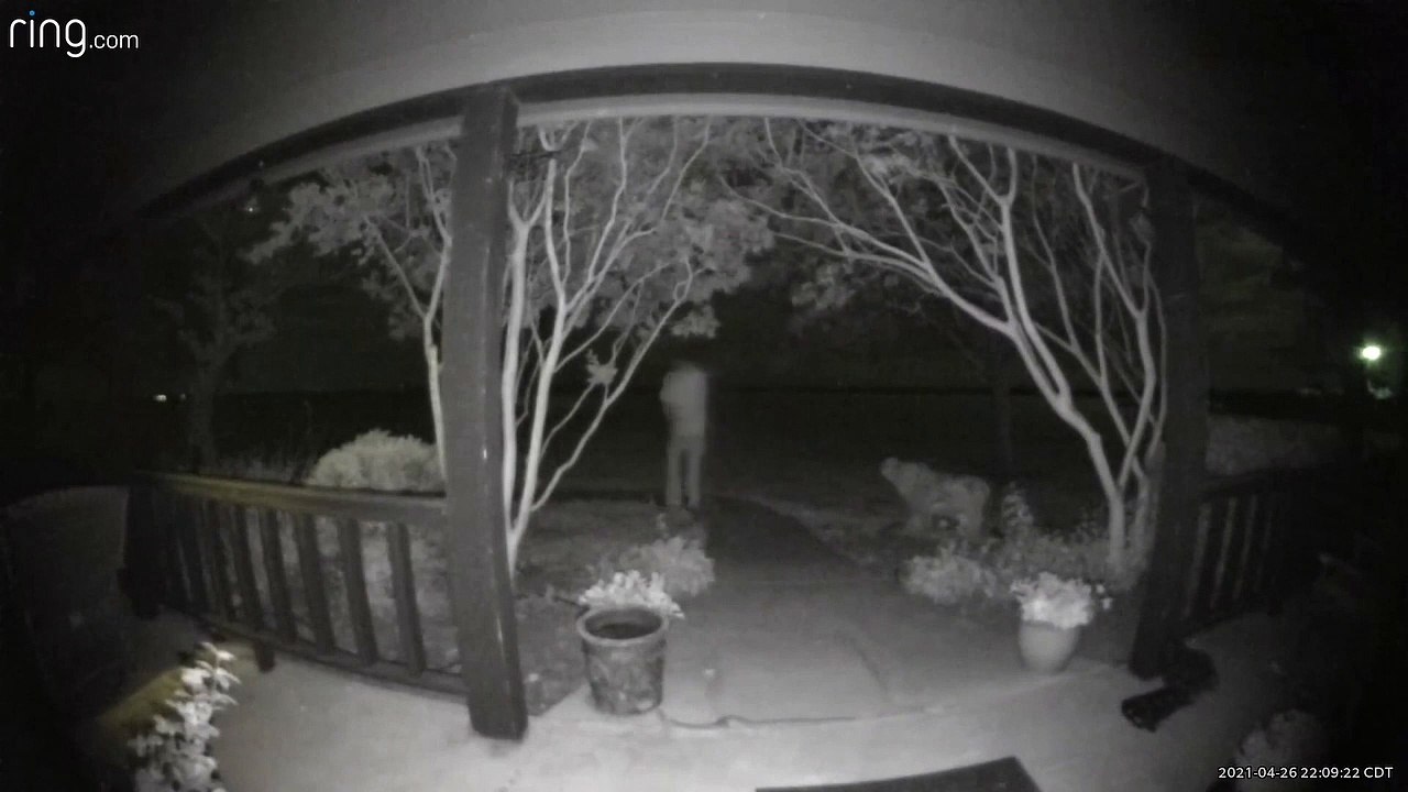 Guy Unknowingly Steps Over Rattlesnake in Close Call