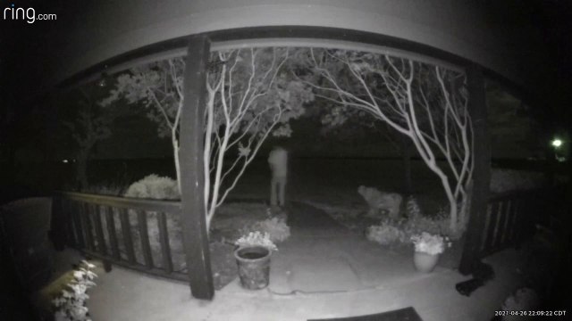 Guy Unknowingly Steps Over Rattlesnake in Close Call