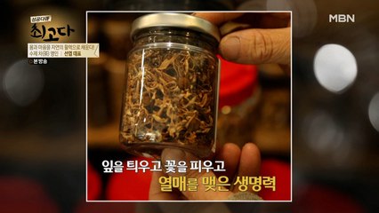 건강하게 즐길 수 있는 계절 약차만 300여 가지?!