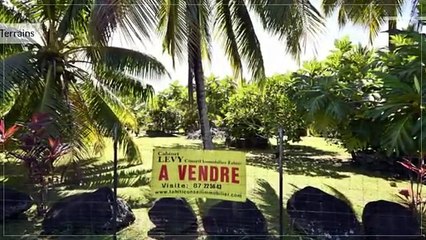 A vendre terrain de 3522m2 en bord de route C/Mont. à Papara (Idéal habitations, locaux commerciaux, commerces)