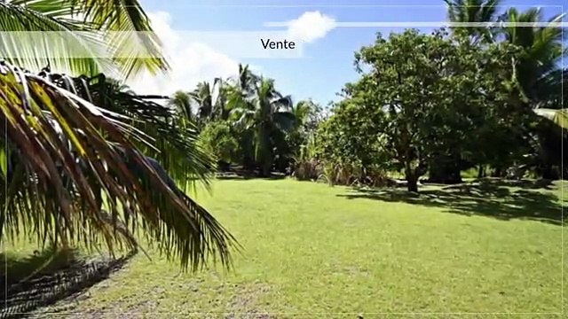 A vendre terrain de 1175m2 C/Mont. à Papara (Idéal 2 Habitations-Proche Plage)