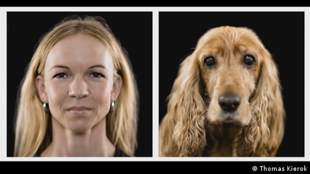 Perros y sus dueños. ¿Qué tan parecidos son?