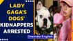 Lady Gaga's dogs' 5 alleged kidnappers arrested | All plead not guilty| Oneindia News