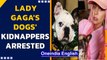 Lady Gaga's dogs' 5 alleged kidnappers arrested | All plead not guilty| Oneindia News