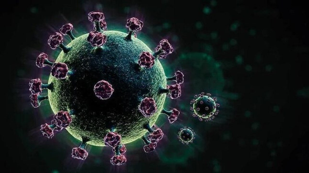 Watch: Coronavirus mutants found in India