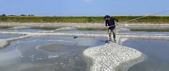 Pour tirer le gros sel, il faut d'abord le rassembler sur la partie la plus haute de l'oeillet
