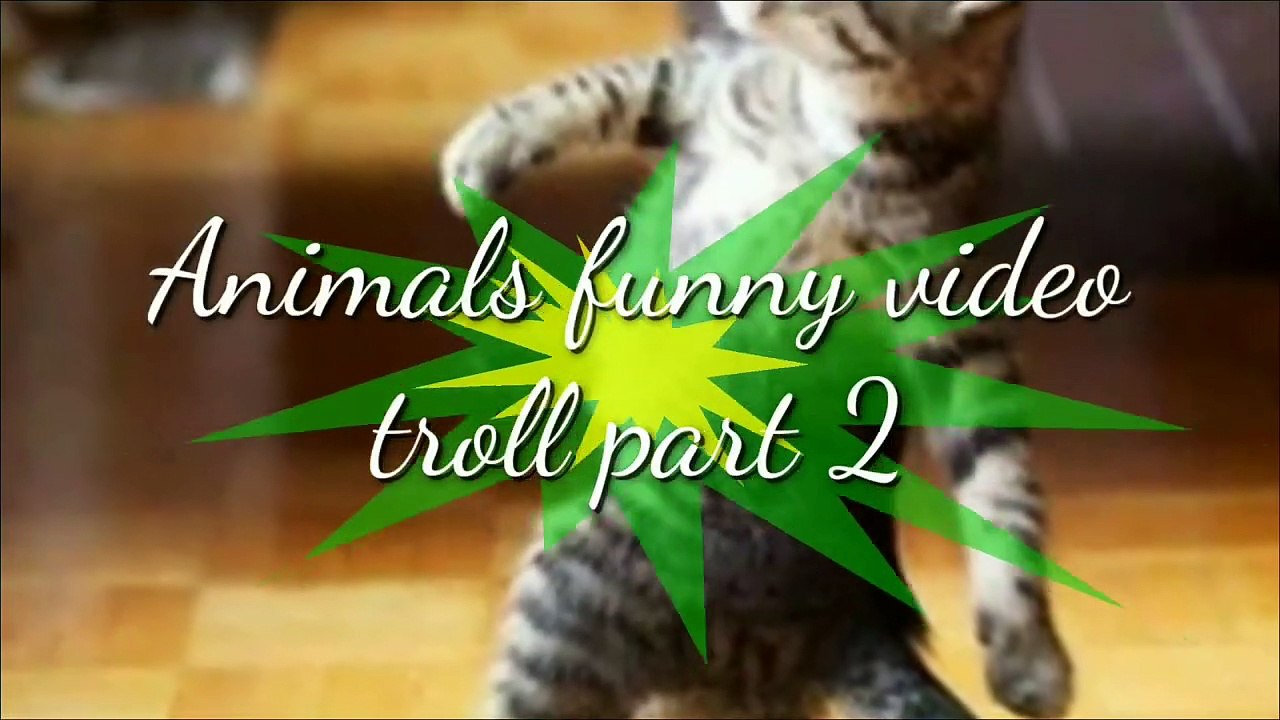 Animals Funny  Video Tamil Troll Part 2