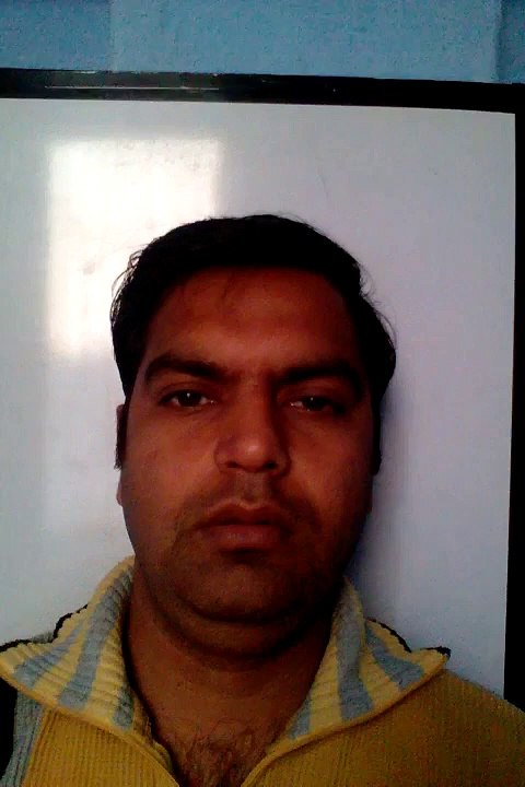 Aunt Jennifer's Tigers