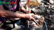 village style fish cutting skills Live Fish cutting Skills in my Village Grandma