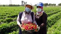 Kadın işçiler 1 Mayıs