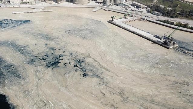 Marmara'yı deniz salyası kapladı! Balıkçılar denize açılamıyor