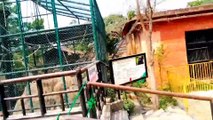 CENTRAL ZOO OF NEPAL | BLOGS | ANIMAL IN JUNGLE | FUNNY MOMENTS | DOCUMENTARY