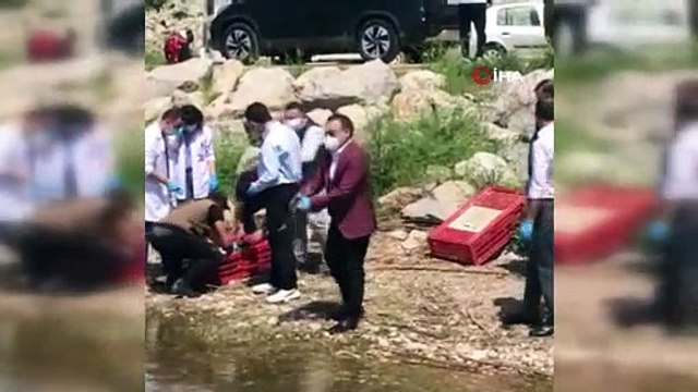 Bursa'da tedavileri tamamlanan hayvanlar doğaya salındı