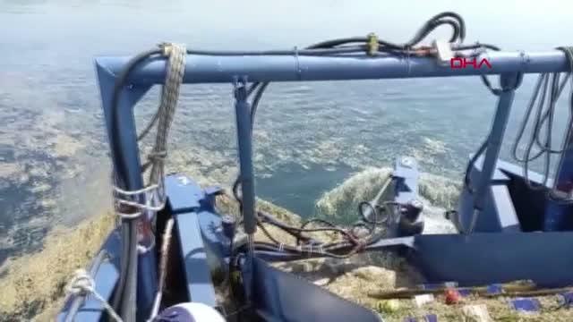 İzmit Körfez deniz salyası ile kaplandı