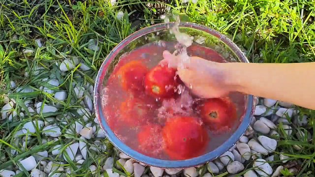 How To Make Cabbage Rolls | Cabbage Rolls Recipe | Cabbage Recipes | Asmr Food
