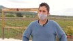 El sector del vino sufre las consecuencias económicas de las restricciones a la hostelería