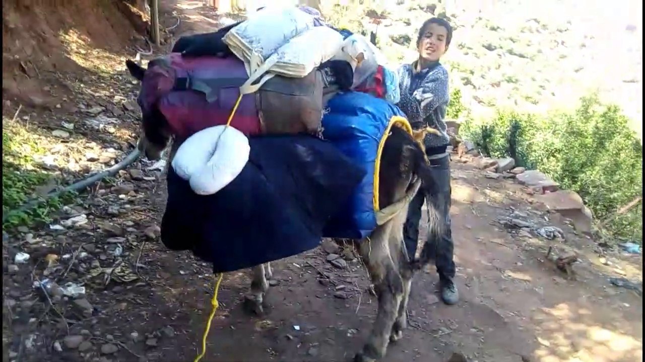 TRAVEL/المهاجر