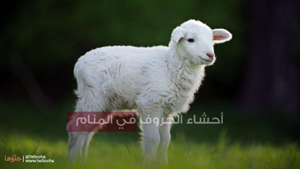 تفسير حلم أحشاء الخروف: ماذا يعني رؤيتها في المنام؟ 🐑
