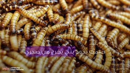 حلمت بدود بني يخرج من صدري