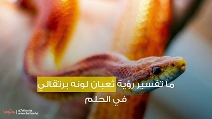 ما تفسير رؤية ثعبان لونه برتقالي في الحلم