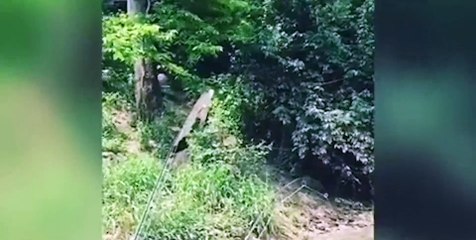 Nehre girmek isterken rezil oldu!