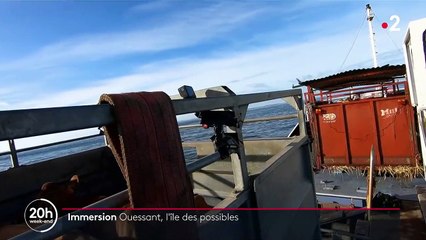 Île d'Ouessant : ces éleveurs qui ont changé de vie